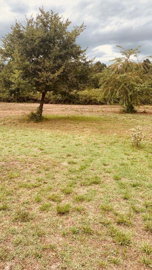 Petite Maison Dans La Prairie Cabanac-et-Villagrains Zewnętrze zdjęcie